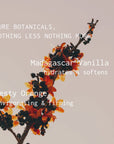 Floral branch with text about Madagascar Vanilla and Zesty Orange on a beige background