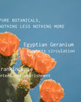 Egyptian Geranium and Frankincense