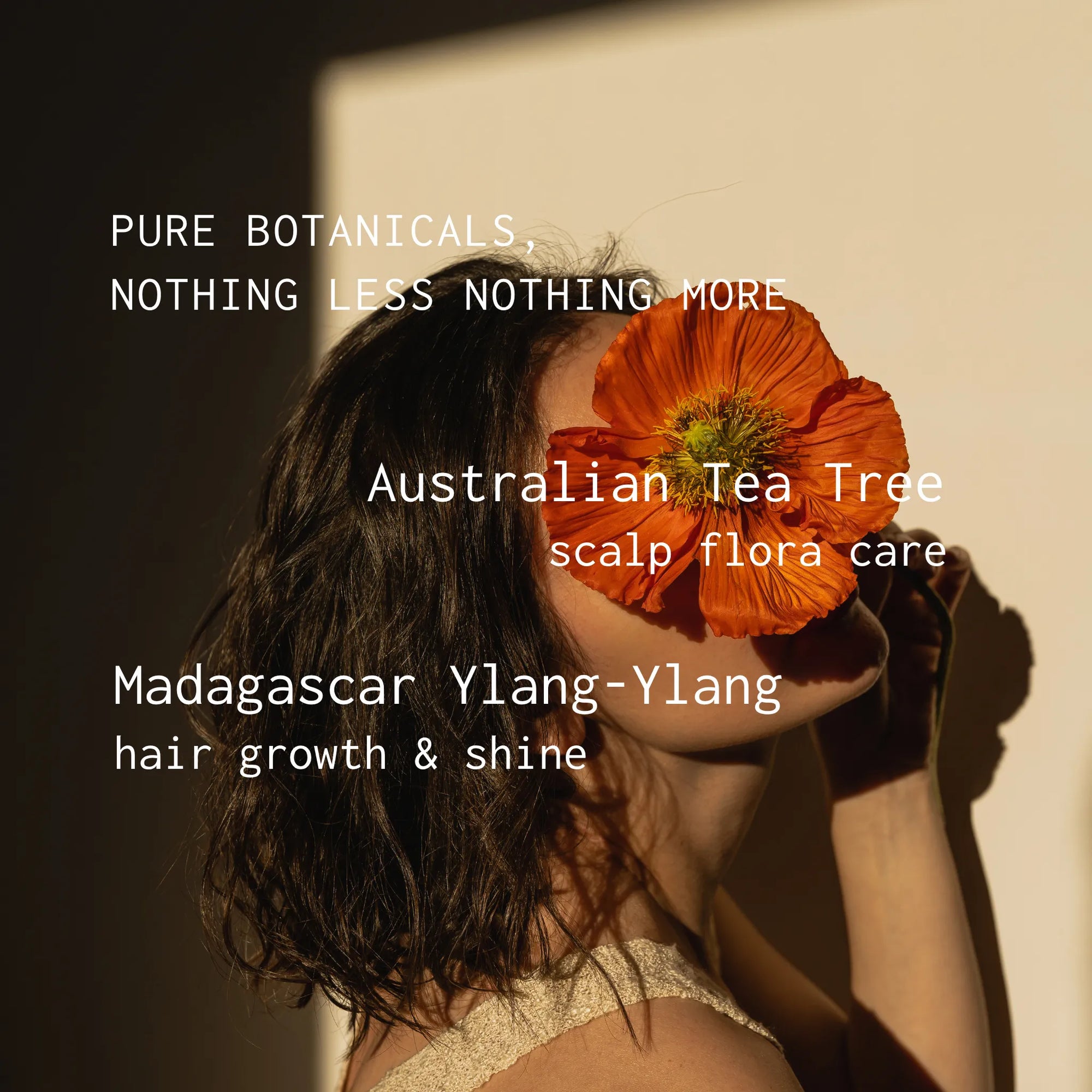 Person holding a red flower with text about Australian Tea Tree and Madagascar Ylang-Ylang products.