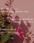 Plant with pink flower and text about Egyptian Geranium and Frankincense on a pink background