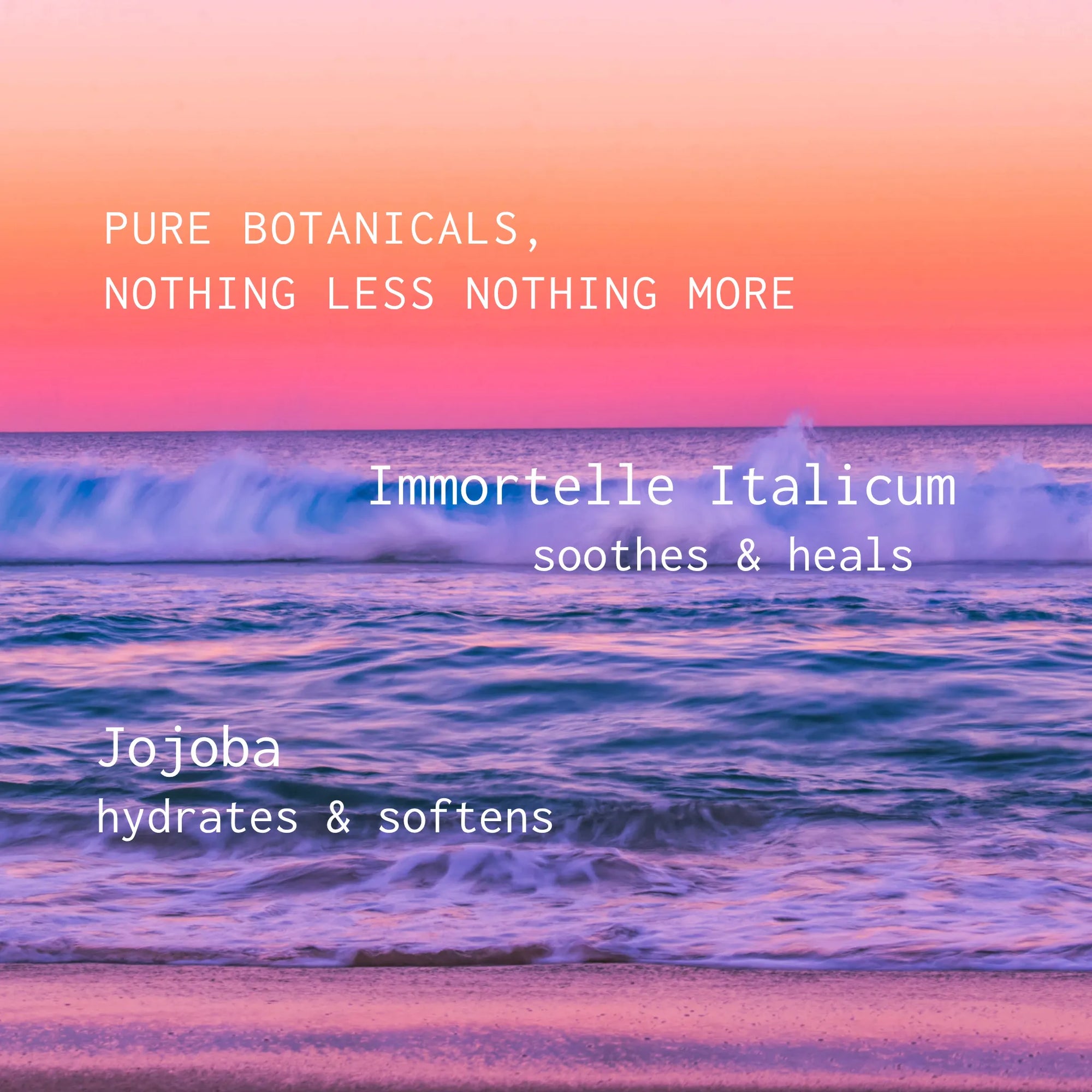 Beach scene with text about pure botanicals, Immortelle Italicum, and Jojoba.