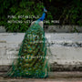 Peacock with text about pure botanicals, Clary Sage, and Lemon on a natural background.