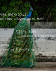 Peacock with text about pure botanicals, Clary Sage, and Lemon on a natural background.
