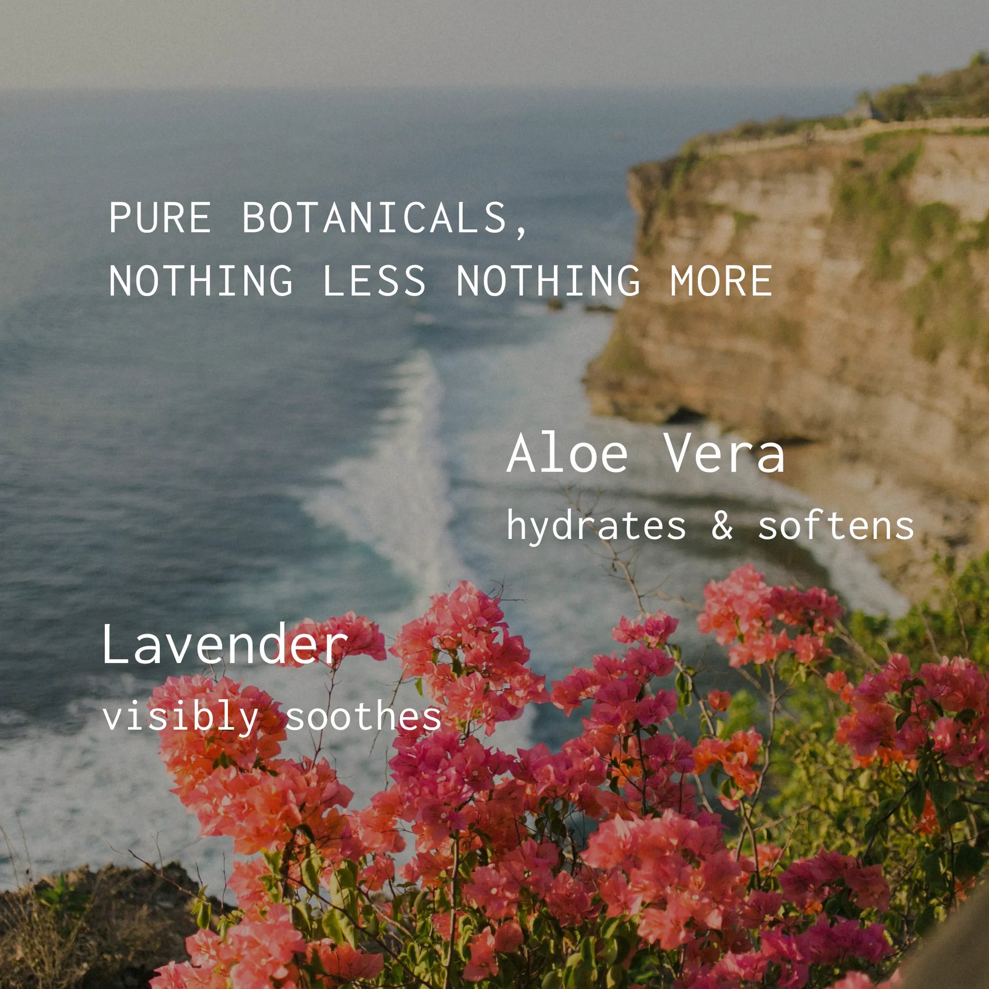 Floral scene with text about aloe vera and lavender, set against a scenic background.
