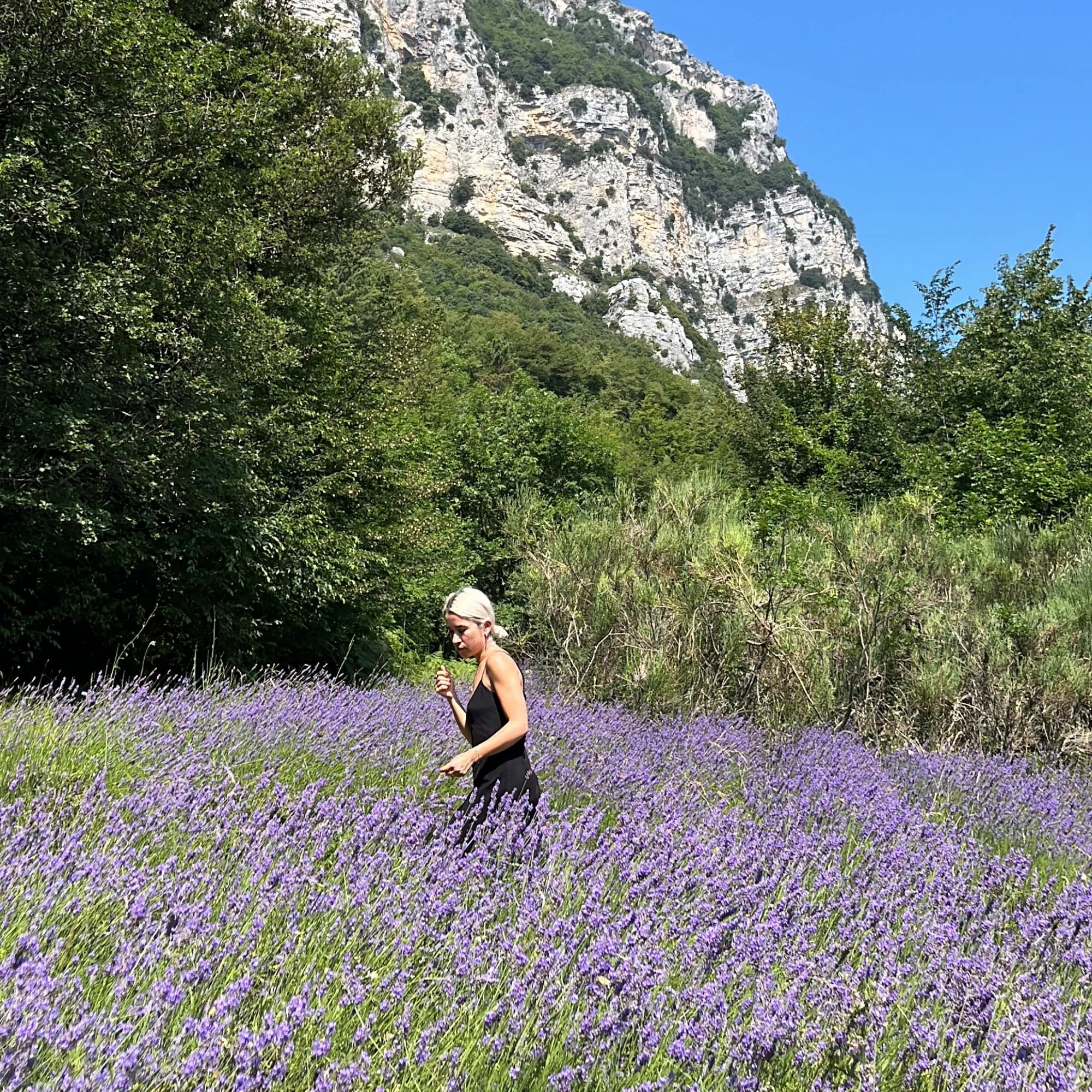 Woman walking through a lavender field with mountains in the background